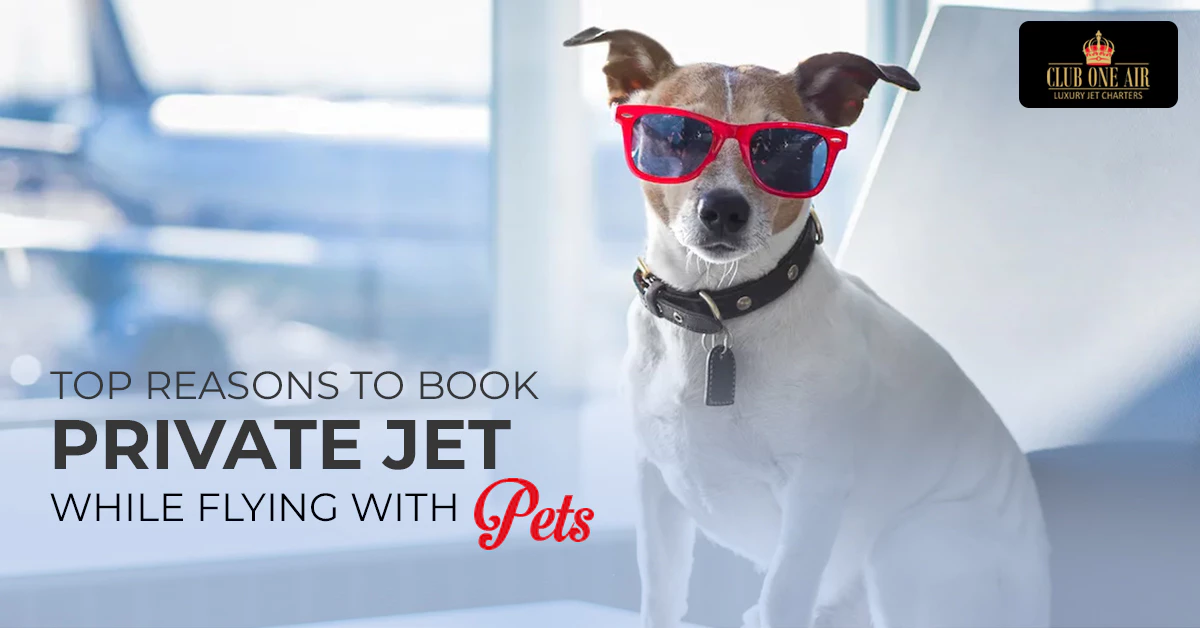 TOP REASONS TO BOOK PRIVATE A JET WHILE FLYING WITH PETS